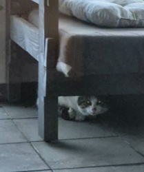 511368ab-61f1-4dc4-a10e-ef87eae3e696