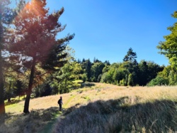 da70f16a-fa31-408e-9396-38bf1e046c7f