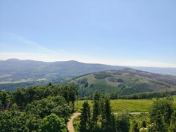 5c69c910-2075-4ffa-a533-4d9df6ca280e