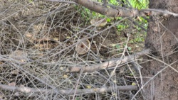 9ed3fc15-75d3-4c59-a2d4-9319abb363bf