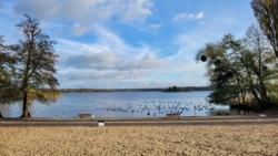 1551162a-776b-4d5c-b847-9553f2ca2796