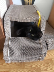 c58c7cb9-fae2-4481-acfc-e68b200c00ed