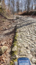 2fc69f8a-6c8a-45f2-88f6-89aa5dc40538