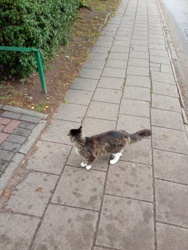 b3afd37a-ed5a-416f-87a9-4885424e2ce0