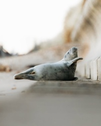 7579d386-2101-4e56-9ea6-1d68c9dd89db