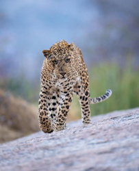 da970c5c-02b0-45d6-9b8e-9ad5f8bc4f30