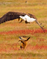 a75759bb-525e-418c-9bab-1d6739fd1cba