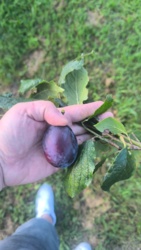 192f69da-6a2d-402b-82bf-fd748f53816d