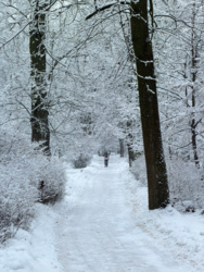 b4ad9252-1511-48b7-9330-b690836fb51e