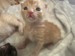 9cdd600f-3505-4be6-838f-f5a5152d19d2