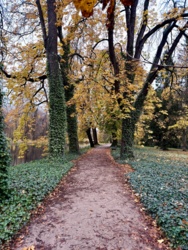 e32b9440-4bcf-4d2b-a75f-1cbaf1c0ca81