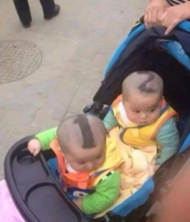 d5eca77a-2730-4fc5-a1db-ed6dfc2193a6