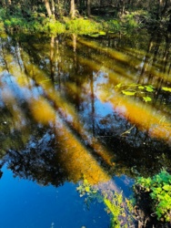 163fc3e8-310e-4025-adeb-aa0e24619b9d