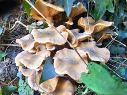 b5ee1fc7-d283-42e0-b87b-6bccff2951d7