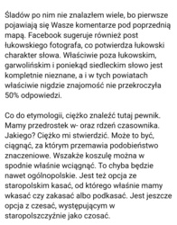 405c1764-8721-4f8f-8de6-ac085c025e2a