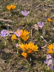 b9f7d776-33f9-41fc-ba1a-b0077f16d41e