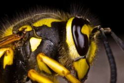 6d83eda1-6647-4efe-a962-1ff2d6bc9b6e