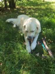 8c2e1842-5ff3-4a21-80fa-b51a04b7bf63