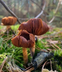 764e2369-bc93-410a-8353-bd64965de35a