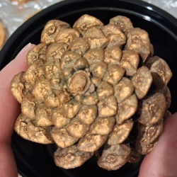 46586323-c424-4033-b69a-63c035f3bb04