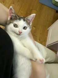 0e258e0b-8d34-463c-893b-78a992ca7da5