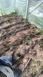 096eff21-f23f-47bd-a874-3fa1cca3a0e7