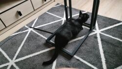 63e91f17-330e-4037-aa0b-a39e9a37e076