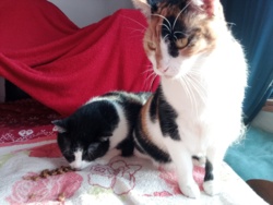 04e0ca06-6c5f-4c72-b7d6-fe849c5c7316