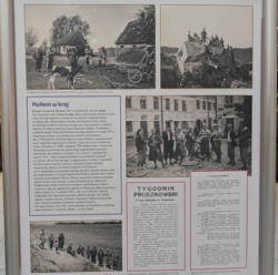 1d04485a-3515-4fe2-bbd7-87af02703fac