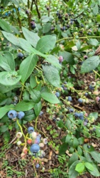 777e2ede-a6bf-4712-9825-5d04589ba4cc