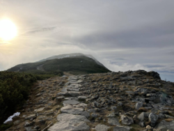 d579d9a8-01fc-413e-9a1a-143d30b94209