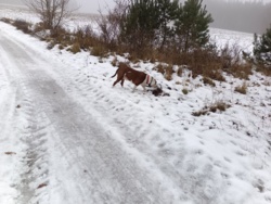 2c19e084-2908-4df0-9a45-b2ba28cbbcab