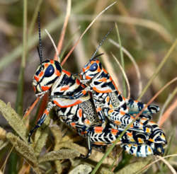 3b2554da-8d81-4998-bb0a-d8769d1c2580