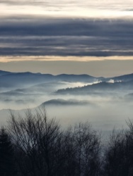 a909c9b5-5e2e-482b-b5e7-96feef6b999d