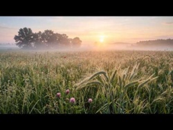 Muzyka na Stany Lękowe i Stres 😶🌫️ Głębokie Wyciszenie Umysłu i Kojąca Melodia