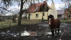 Silny wiatr w Polsce. Orkan Eunice. Blisko milion mieszkańców bez prądu, drzewa blokują drogi