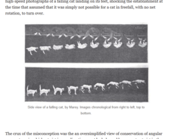 cbc51916-52c3-4f95-bdbb-7f7f651439c6