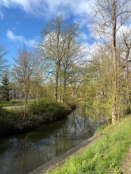 ba02efcc-f3c3-4f02-9c49-881e234aa691