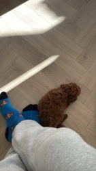 b236b5b2-c6cf-46f8-bc7e-869f981aafa5