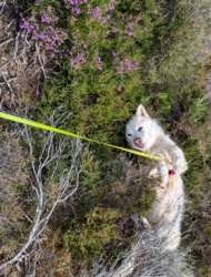 da0a21d0-4a5e-449d-ada0-2643180531c4