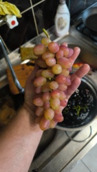 65c2a77b-07d6-4d06-832b-43d22c65aebc