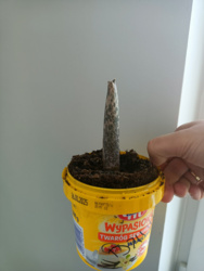 e69fe8d3-d940-4da6-8d49-b8d7a92baf13