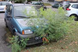 bfd5f5ee-cfc8-44d1-a638-e530679638ed