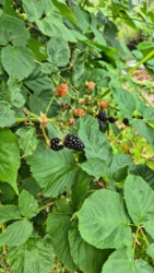 63b87320-750b-4220-9e31-4cb0f5634699