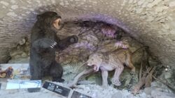 e62ad7f5-f683-4174-8603-ddbeac9e5cc1