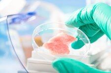 Laboratoryjne mięso nie trafi na nasze stoły? Ludzie nie chcą go jeść!