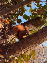 a4e87de6-ff83-4989-be50-65804c4df616