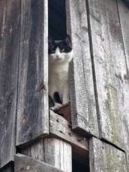 54db821d-f924-4467-860a-a68c27044f32