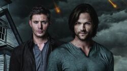 Supernatural - konflikt między Jaredem Padaleckim i Jensenem Acklesem zażegnany