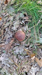 b33b606a-8dd5-45d4-8471-5c419eeb08ae